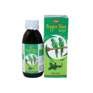 3106951 Syrup peppermint 120ml
