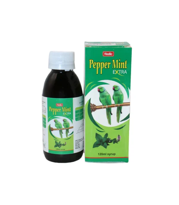 Syrup peppermint 120ml